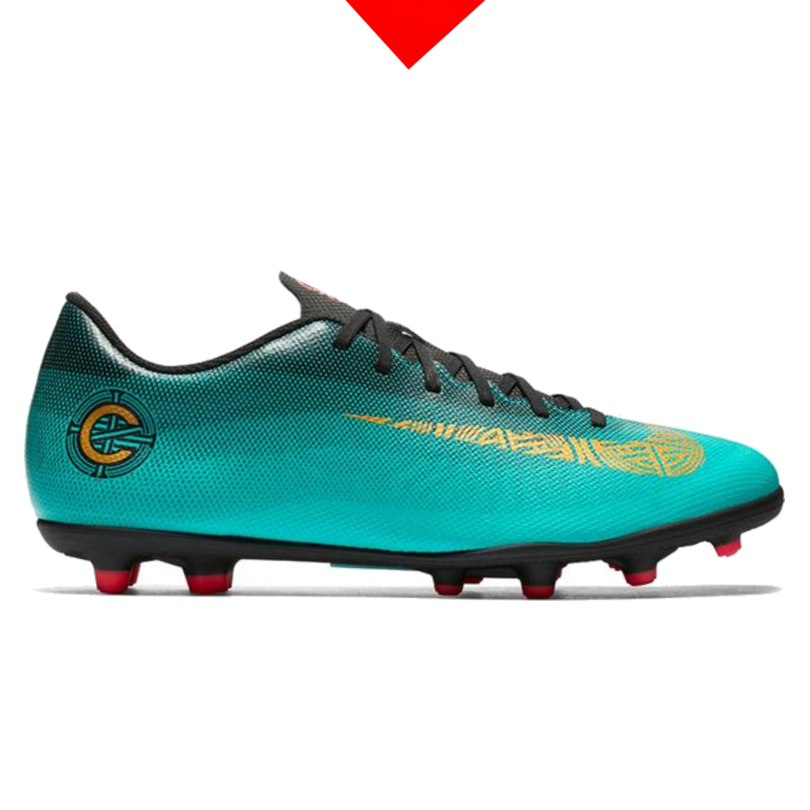 shoe