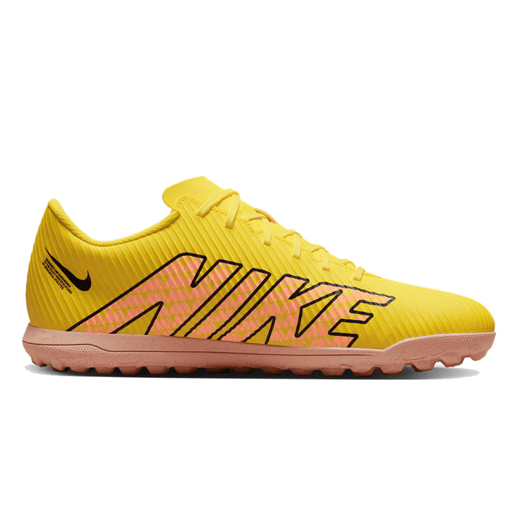 shoe