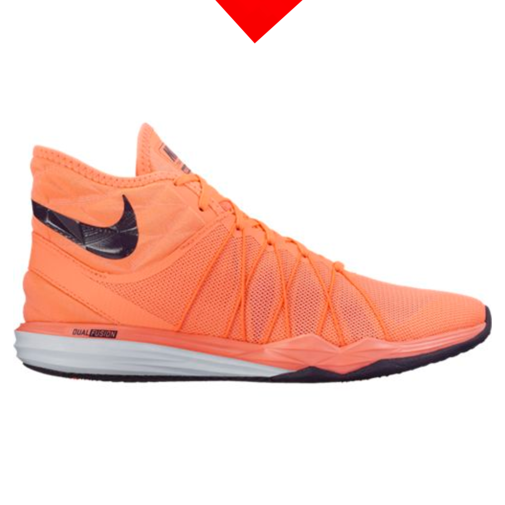 shoe