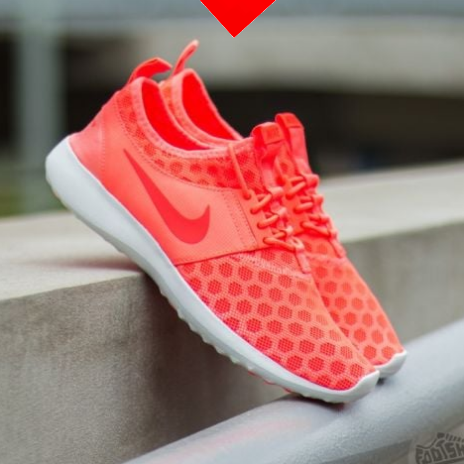 shoe