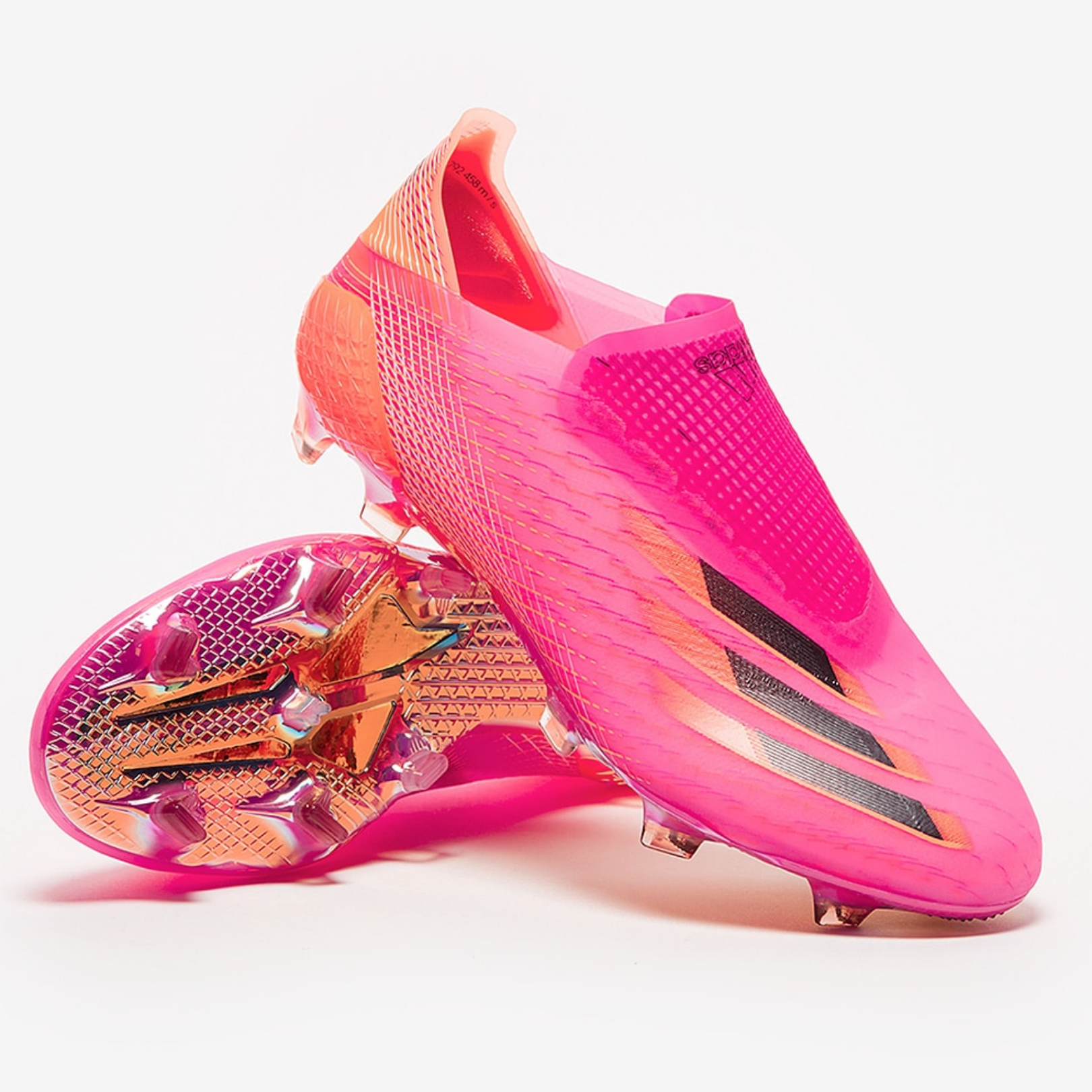 shoe