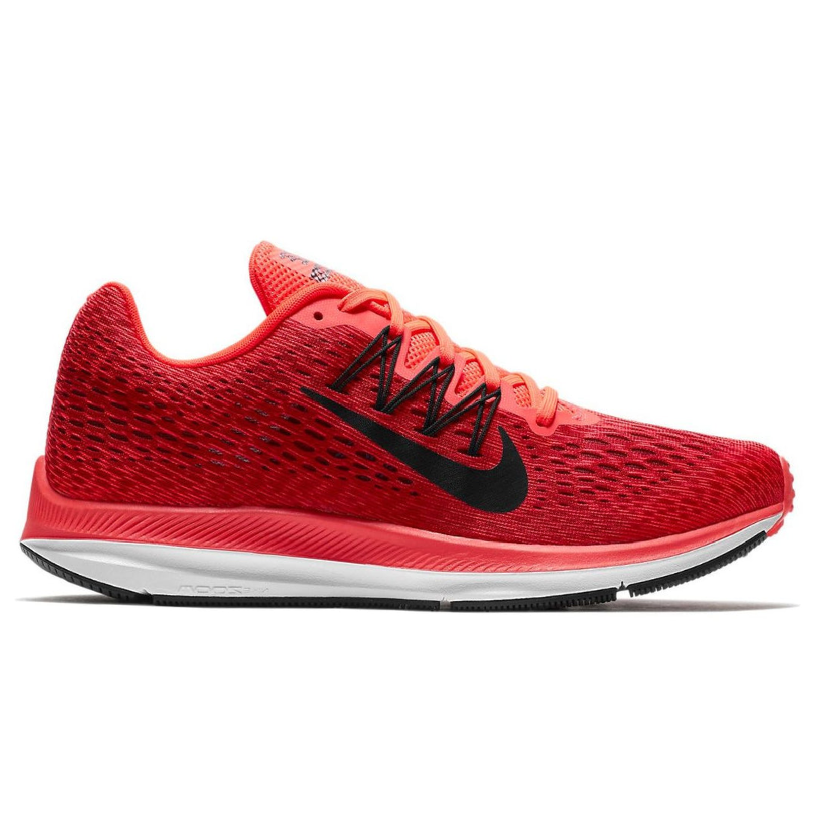 shoe
