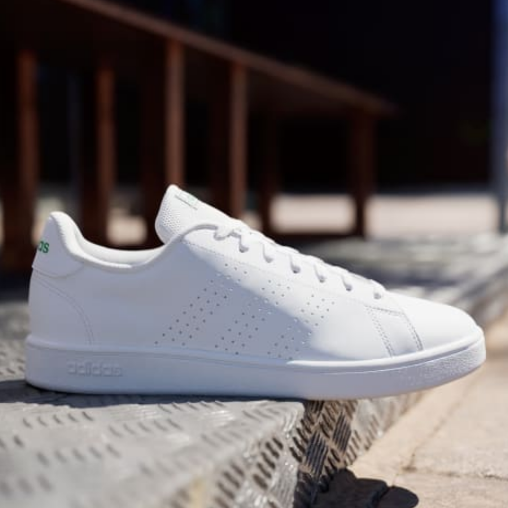 shoe