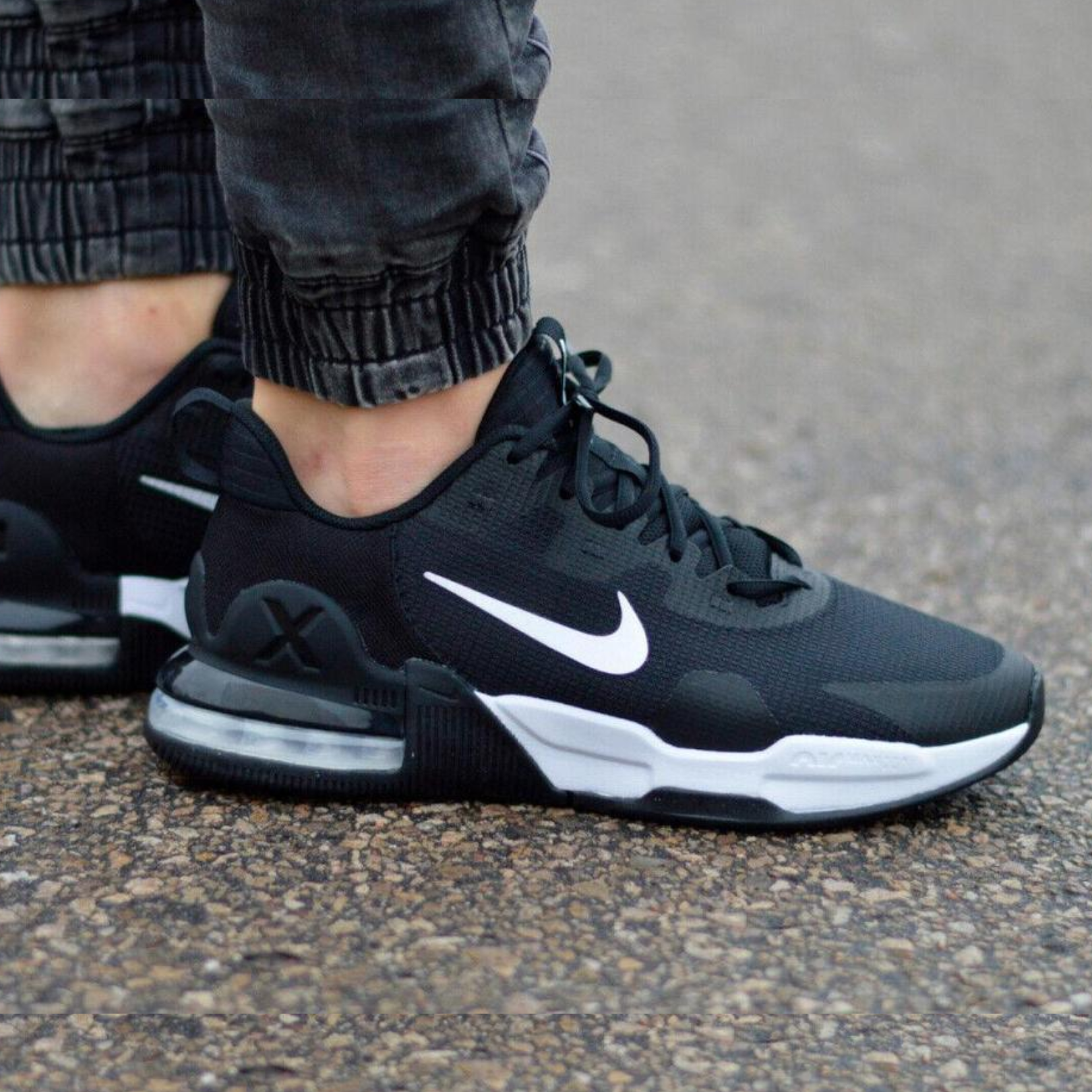 shoe