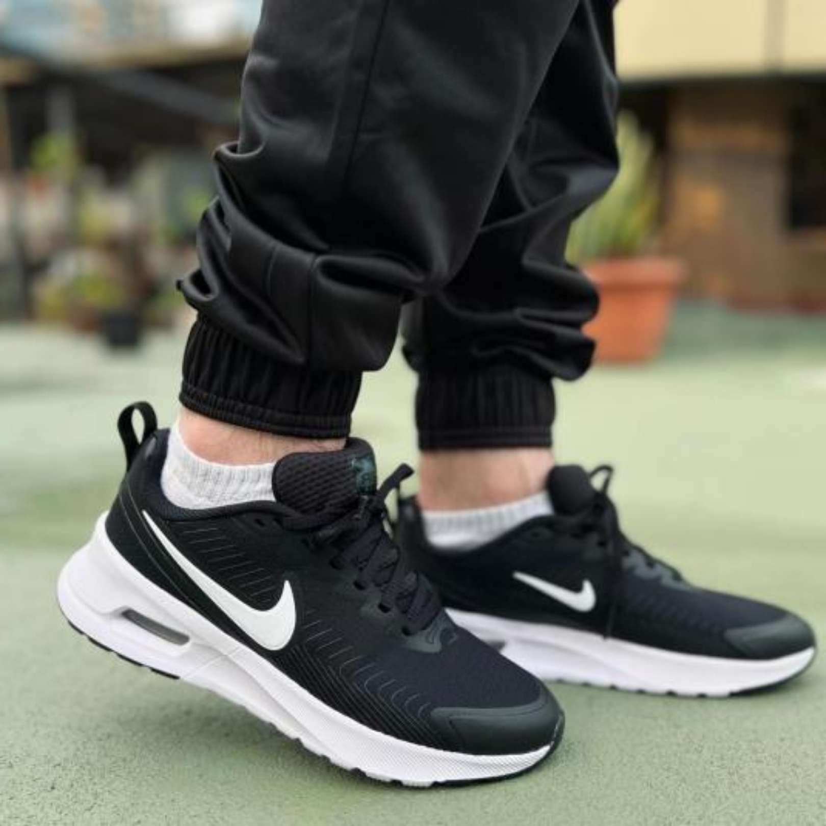 shoe