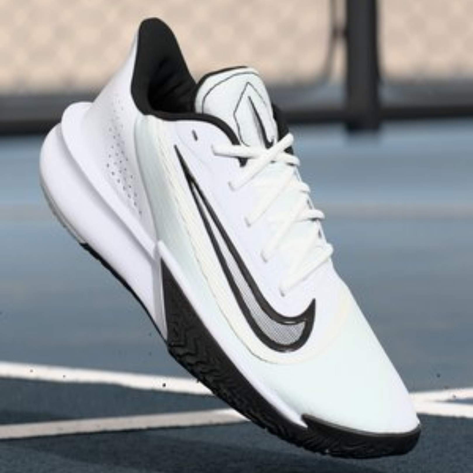 shoe