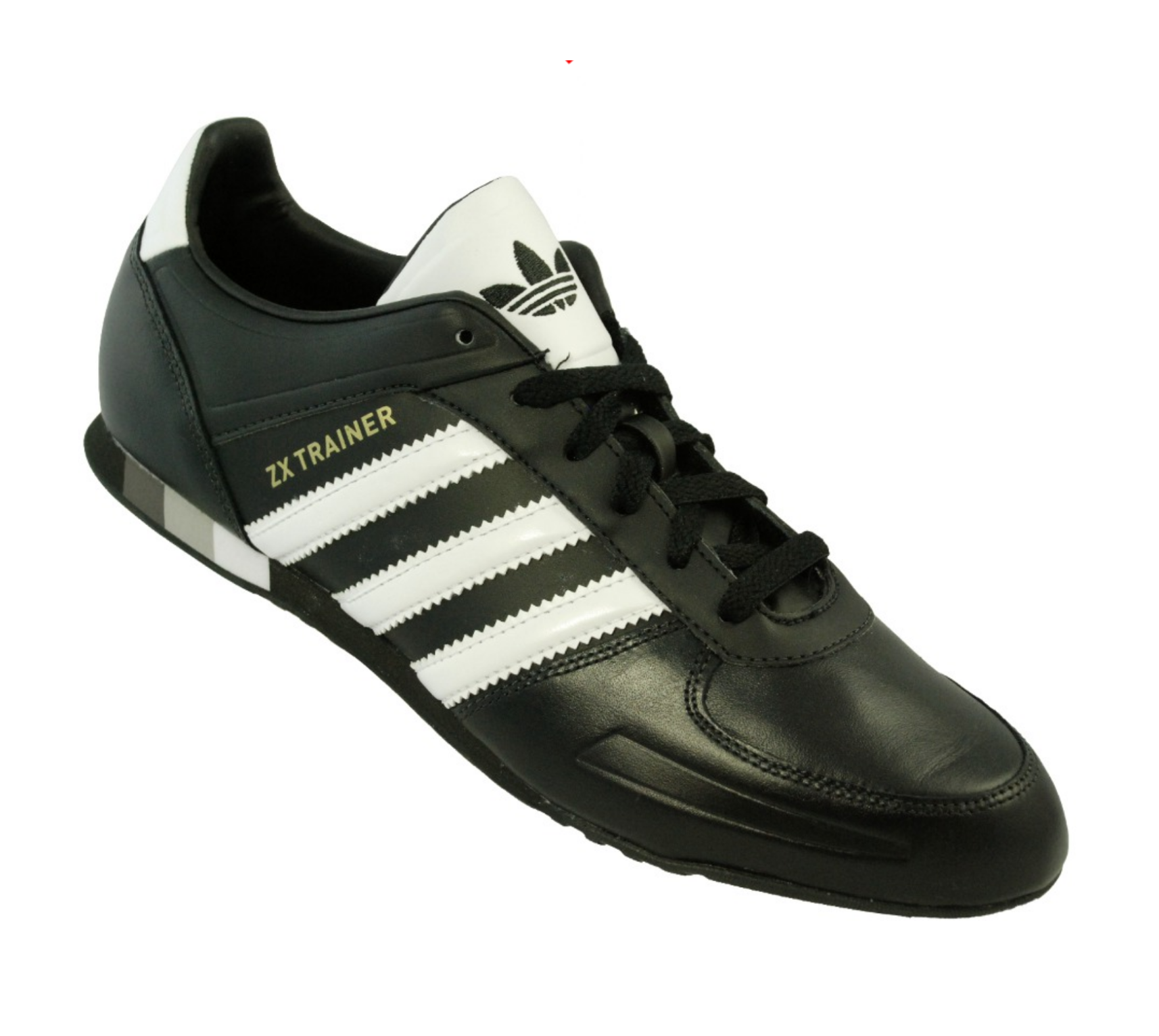 shoe