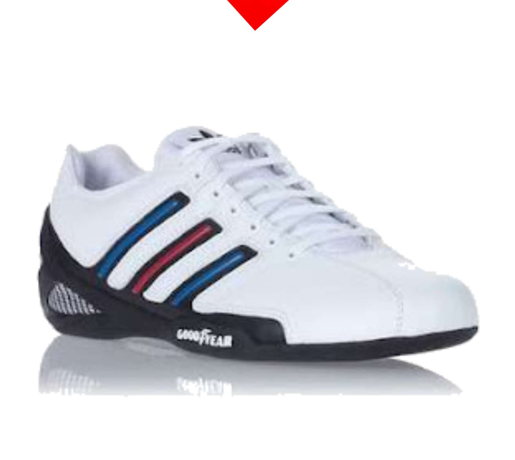shoe