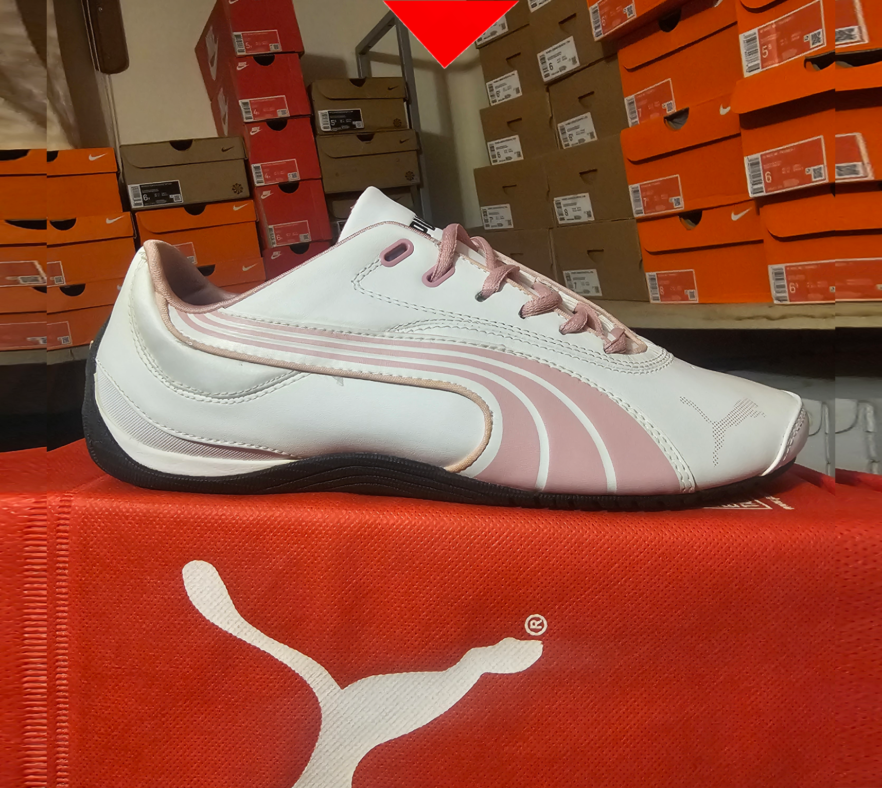 shoe