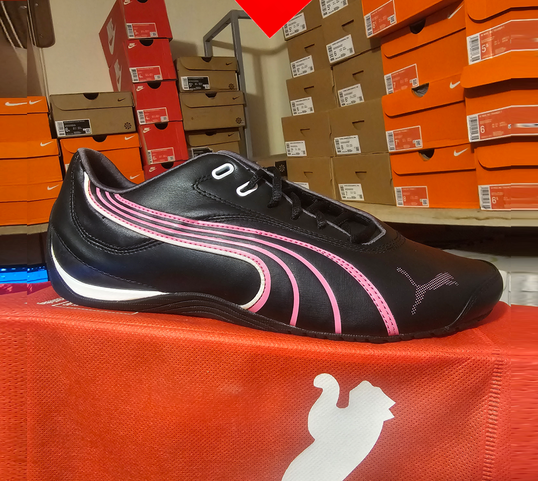 shoe
