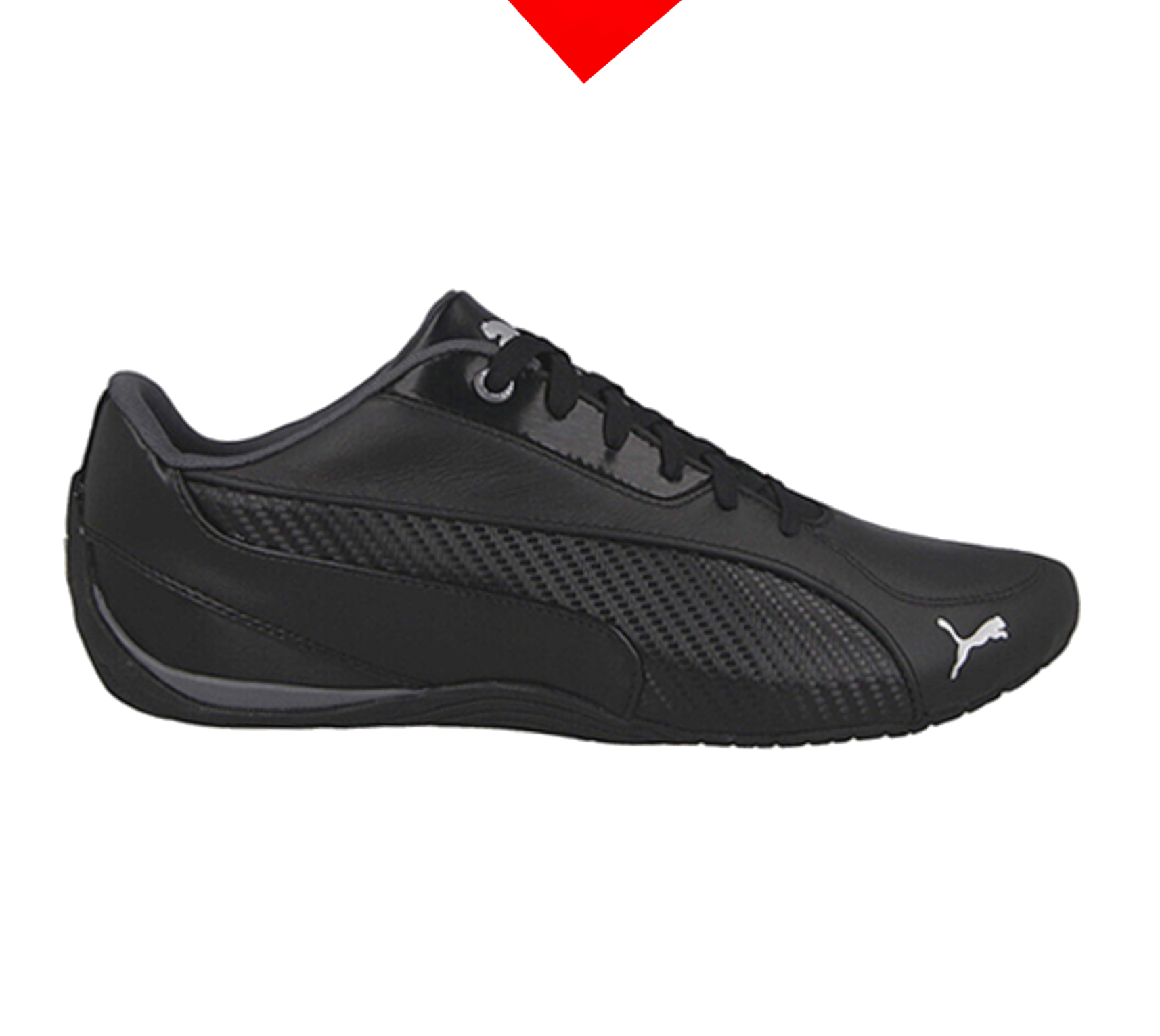 shoe