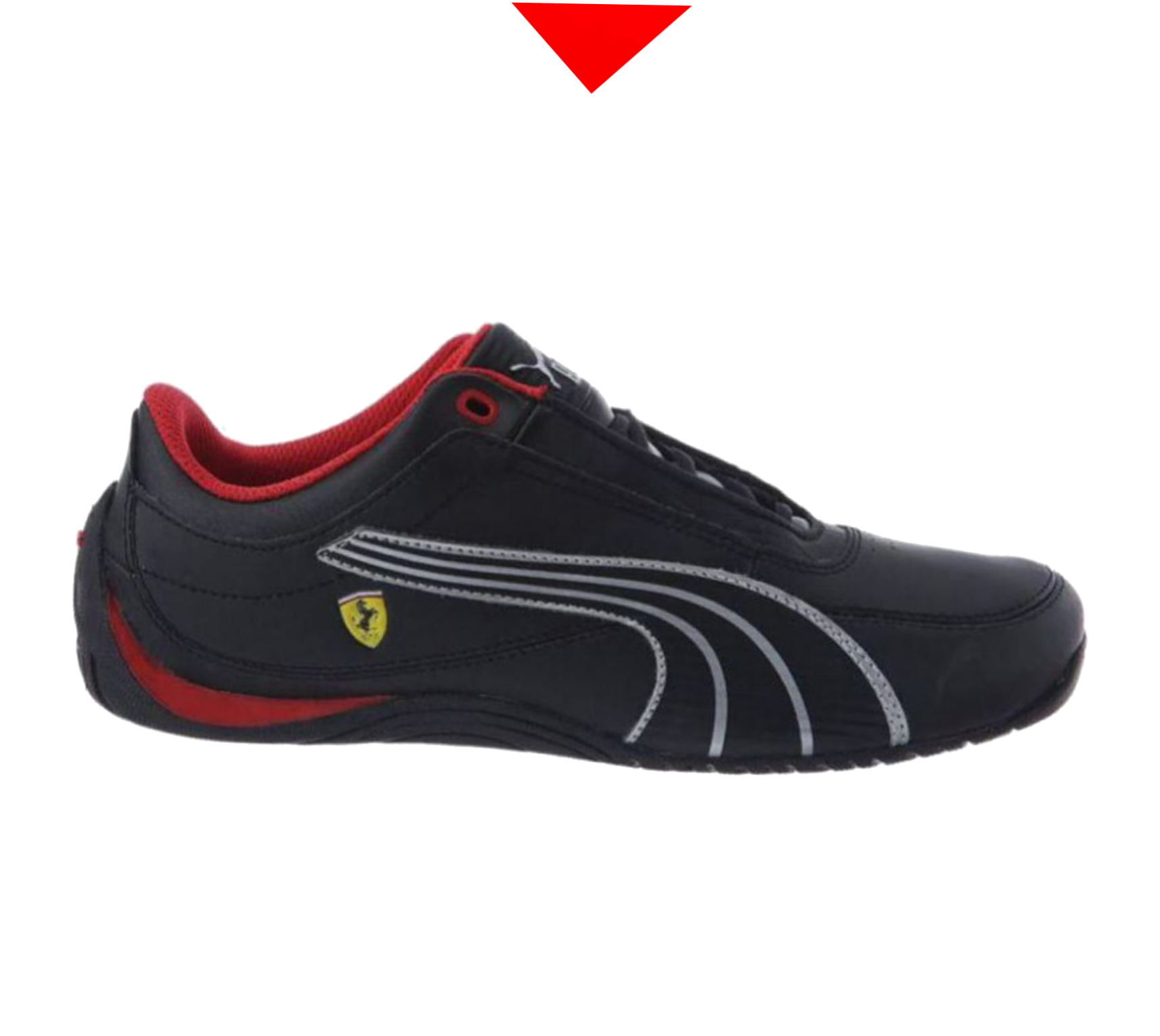 shoe