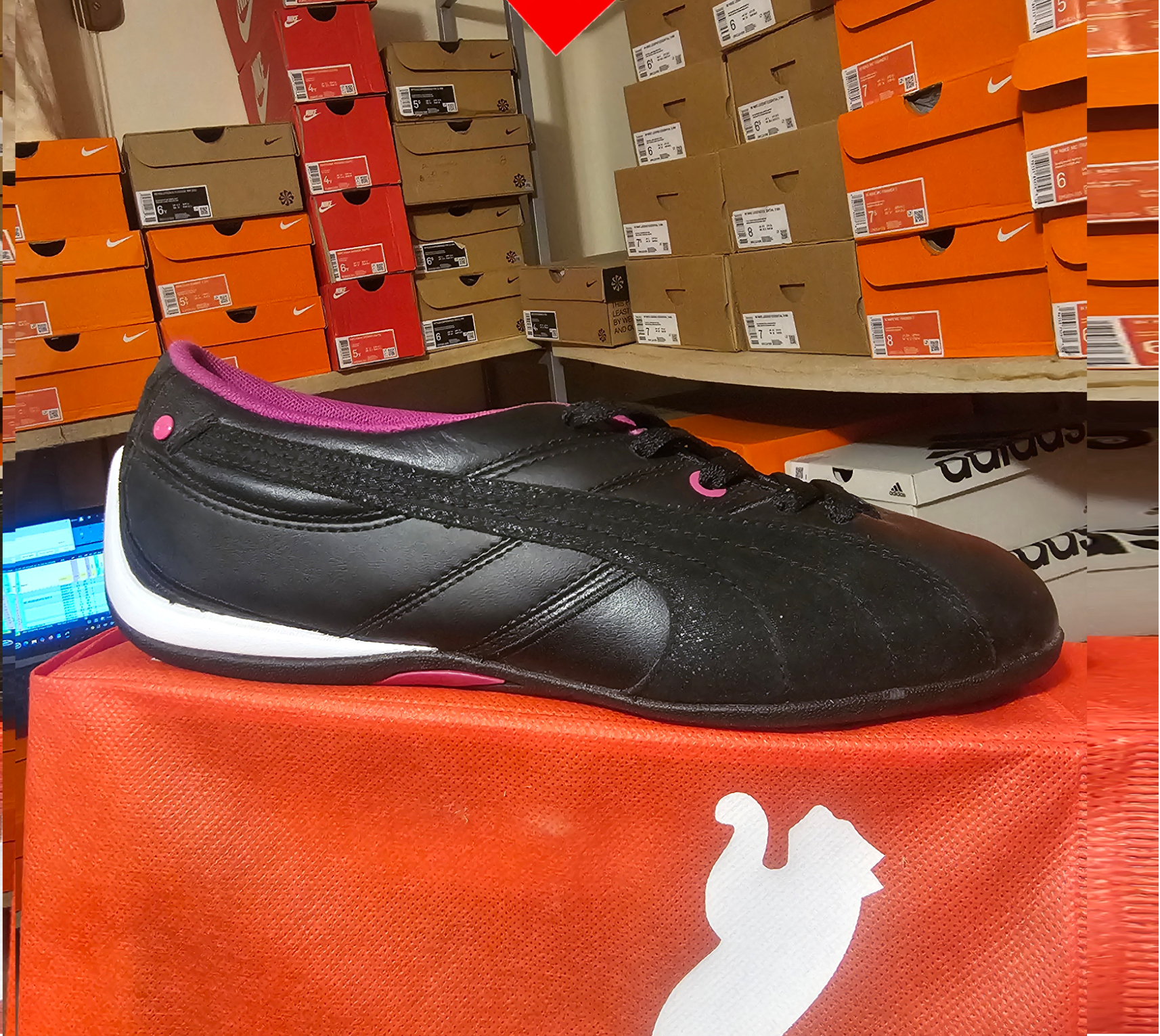 shoe