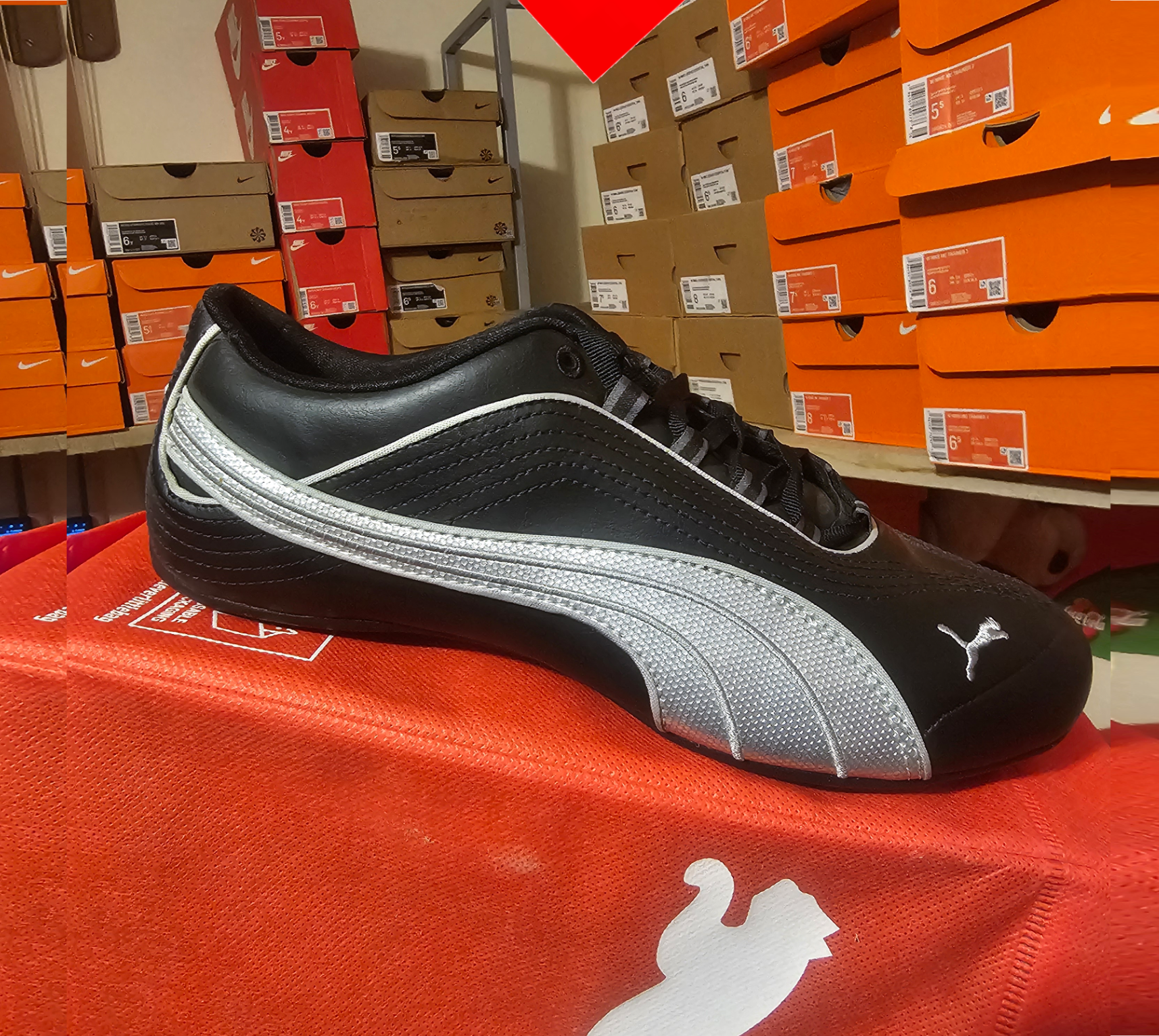 shoe