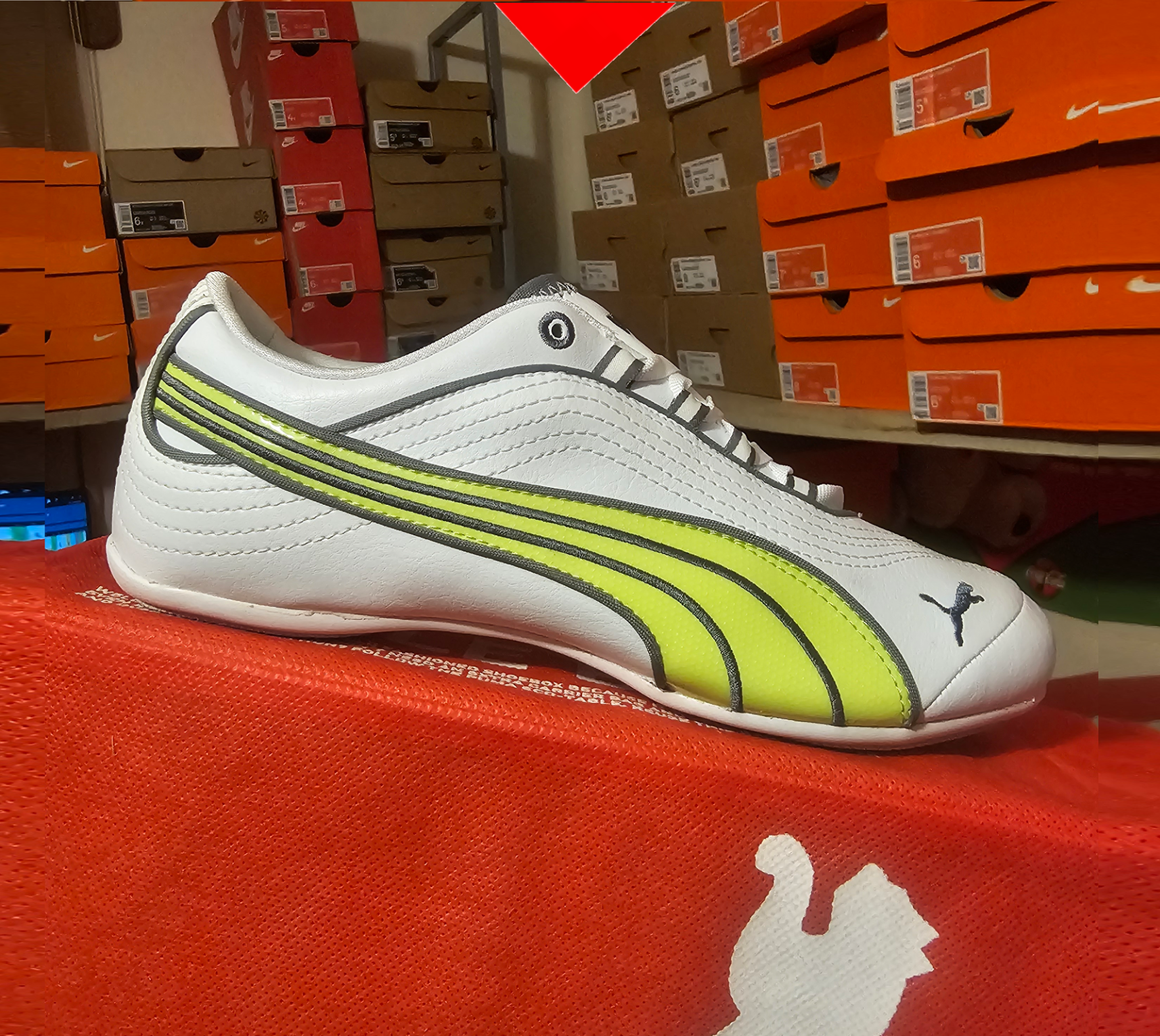 shoe