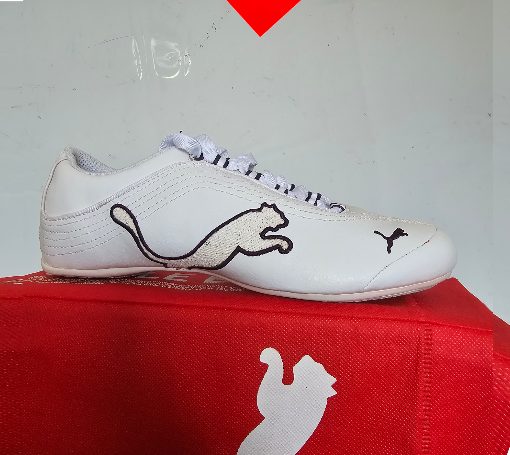 shoe