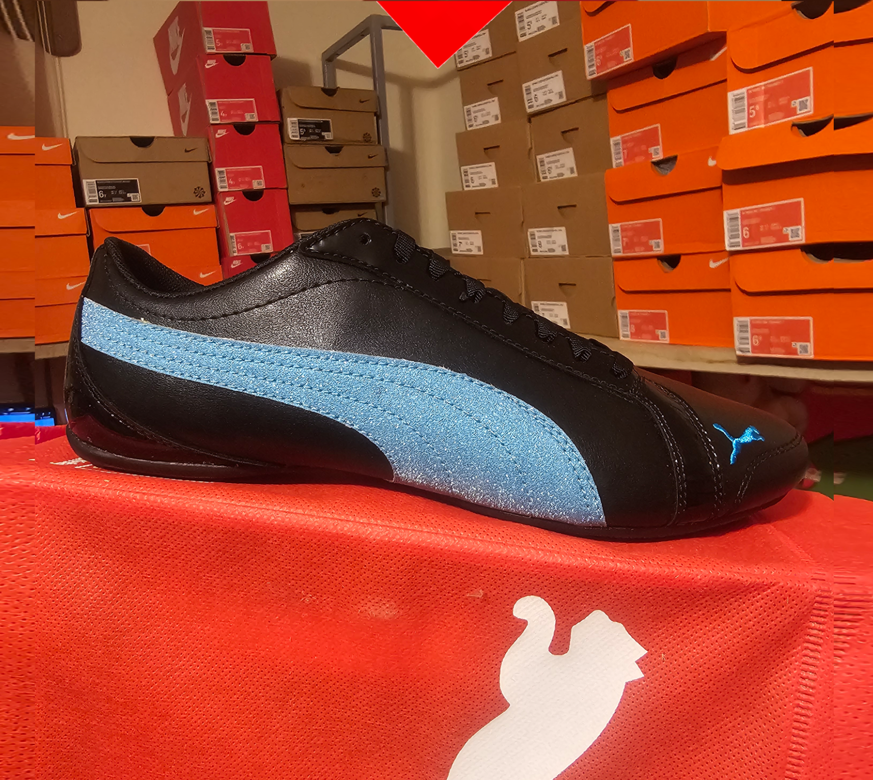 shoe
