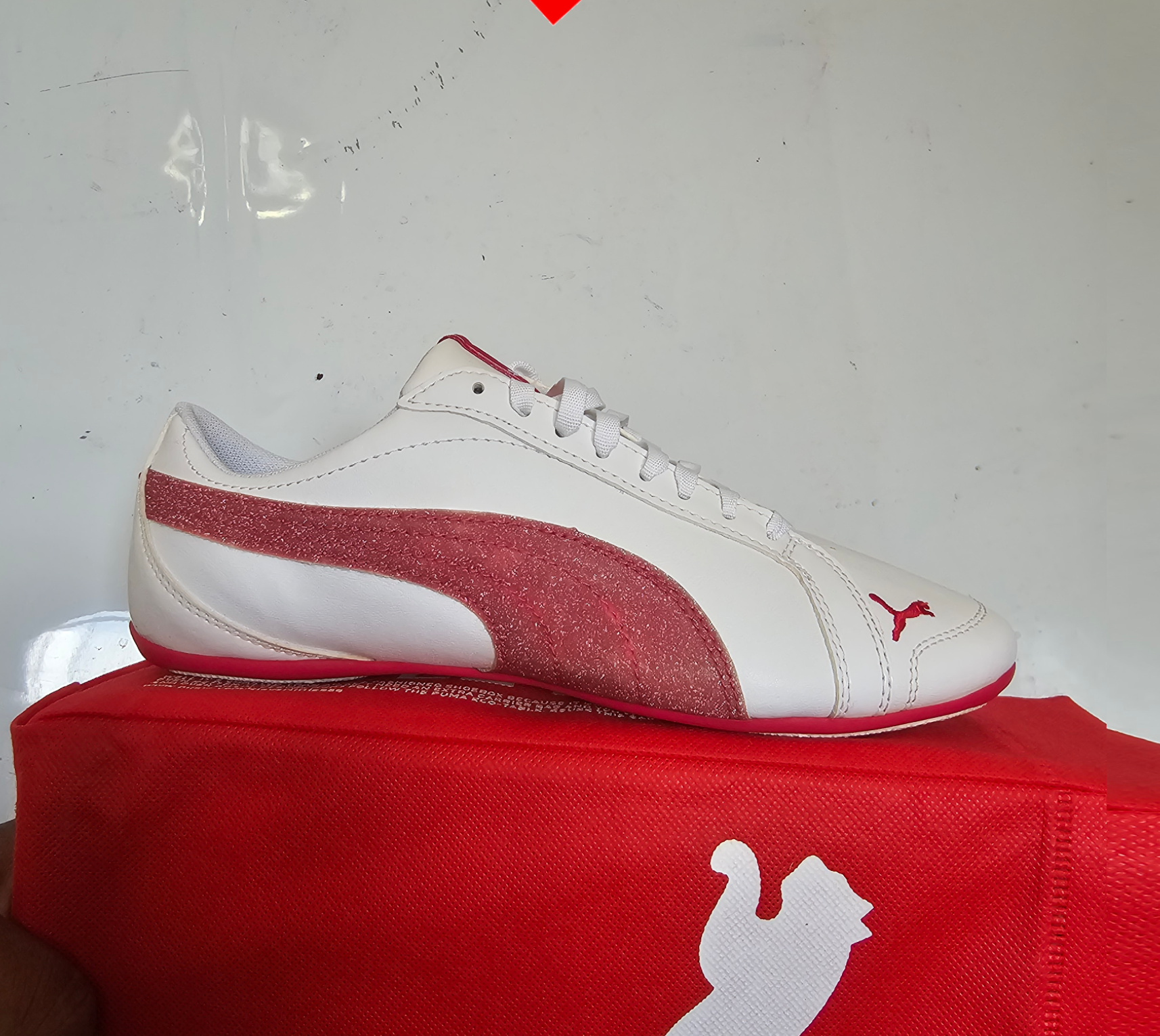 shoe