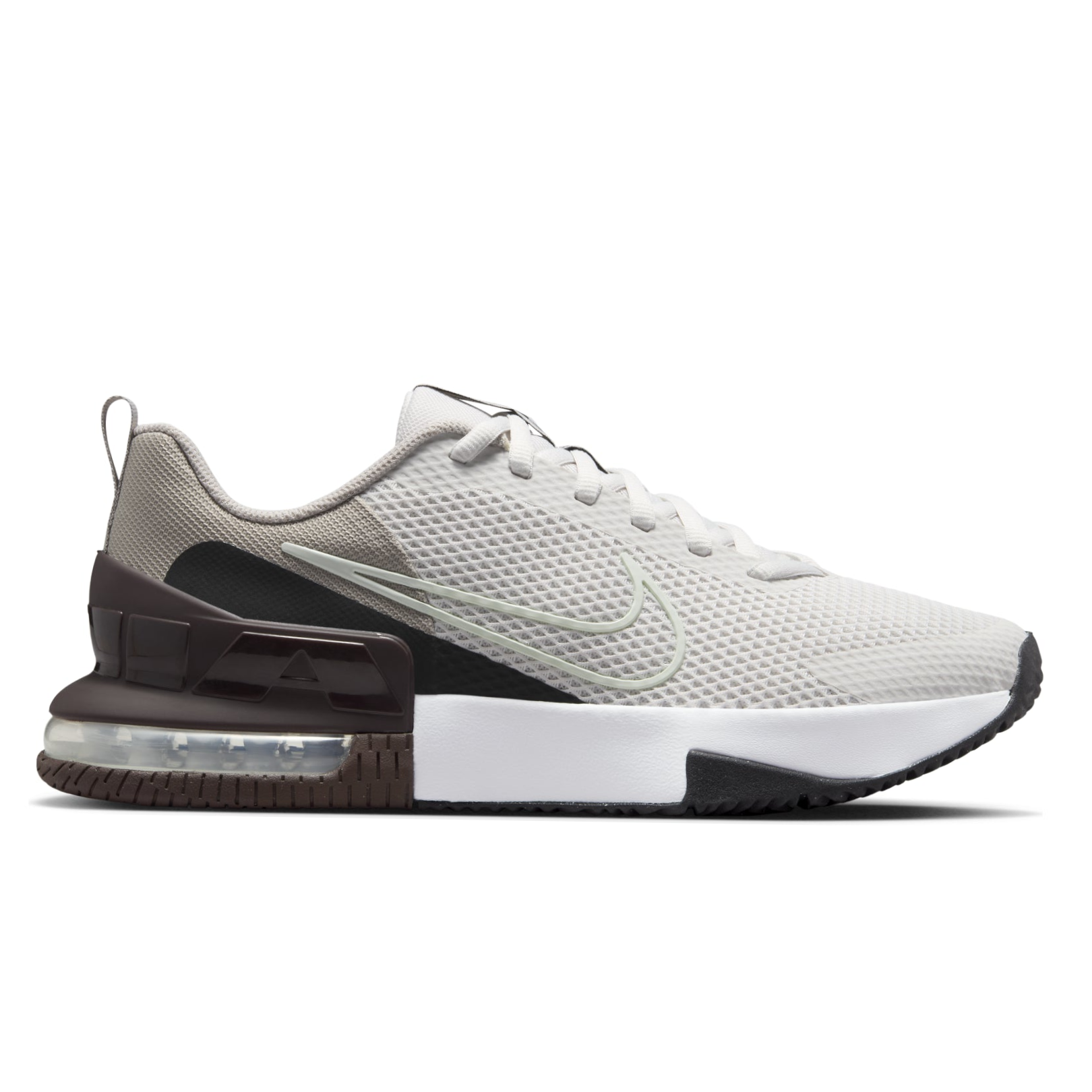 shoe