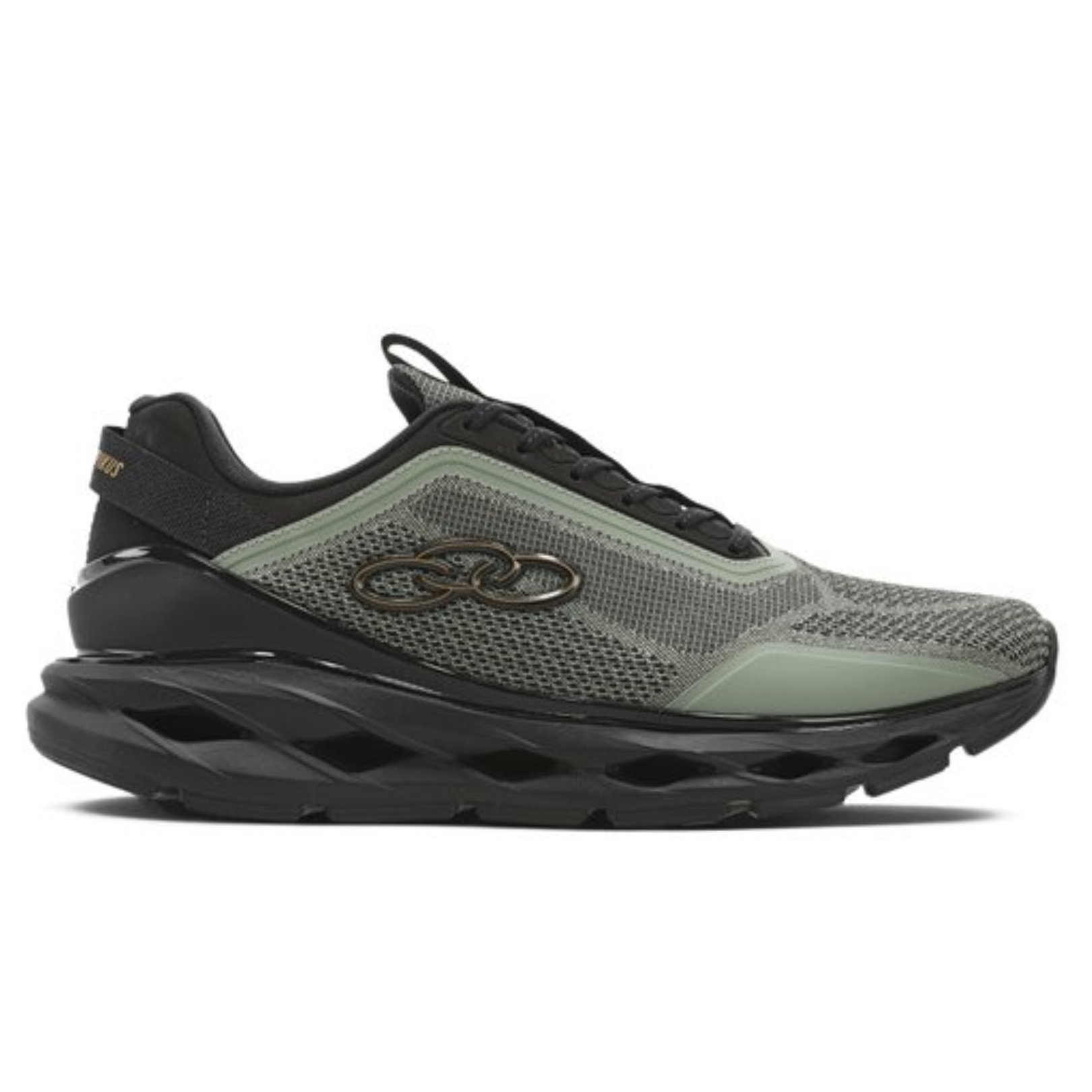 shoe